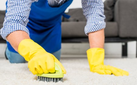 Your Go-To Carpet Cleaners in Nashville – Deep Steam Floor Care That Works
