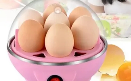 Buy Egg Boiler Online – A Smart Addition to Your Modern Kitchen