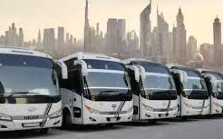 Private Bus Rentals in Dubai for Weddings, Tours & Staff Transport
