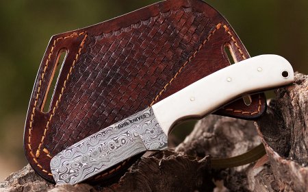 Everything You Need to Know About Bull Cutter Knives