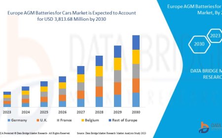Europe AGM Batteries for Cars Market Trends, Insights and Future Outlook