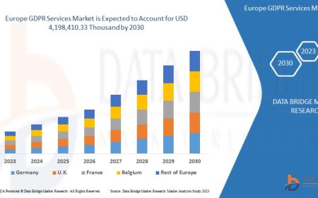 Europe GDPR Services Market Growth and Future Trends