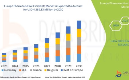 Europe Pharmaceutical Excipients Market Trends, Insights and Future Outlook