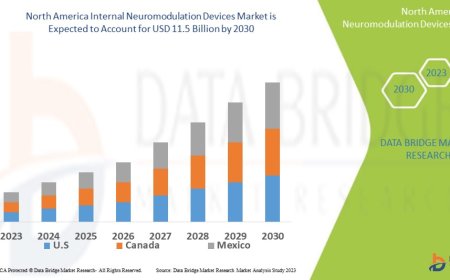 North America Internal Neuromodulation Devices Market: Size, Share, and Growth Forecast to 2030