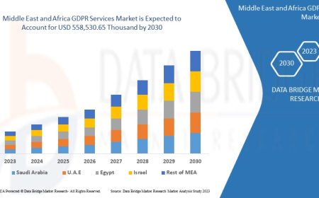 Middle East and Africa GDPR Services Market Growth and Future Trends
