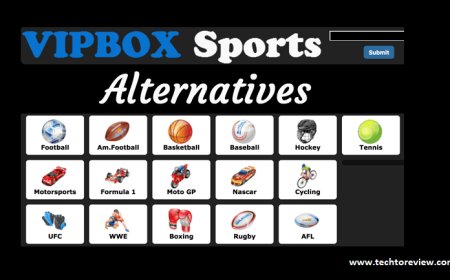 Top VipBox Alternatives to Stream Sports Online in 2025: The Ultimate Guide for Sports Lovers