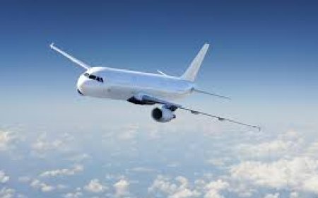 pensacola to orlando flights