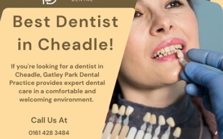 Finding the Best Dentist Near Me: What to Look For?
