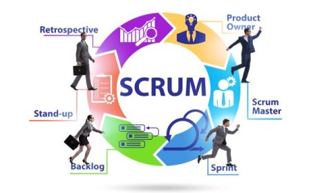 The Growing Popularity of Scrum Master Training and Product Owner Certification in Agile Software Development