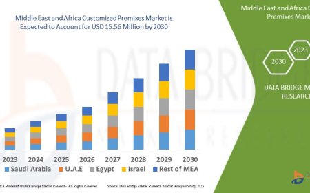 Middle East and Africa Customized Premixes Market Opportunities: Growth, Share, Value, Size, and Scope