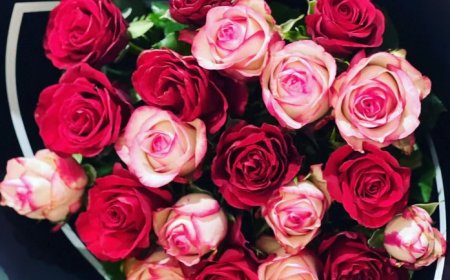 Flower Delivery St Kilda: The Perfect Housewarming Gift