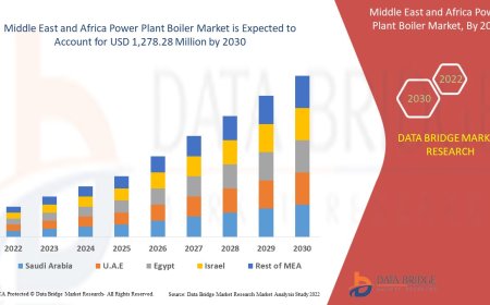 Middle East and Africa Power Plant Boiler Market Graph: Growth, Share, Value, Size, and Insights