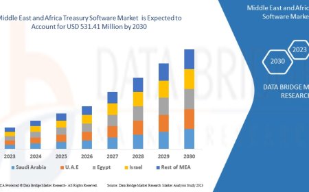 Middle East and Africa Treasury Software Market Research Report: Growth, Share, Value, Size, and Analysis