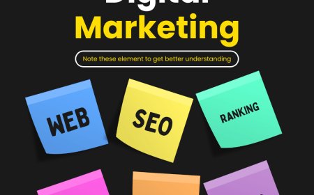 Top-Rated SEO Company in Delhi for Best Advanced Growth