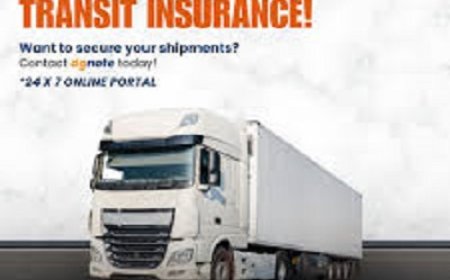 Understanding Transit Insurance and Marine Cargo Insurance: What You Need to Know