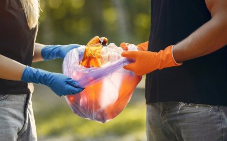 From Toxic to Green: How Smart Hazardous Waste Disposal is Revolutionizing Sustainability!