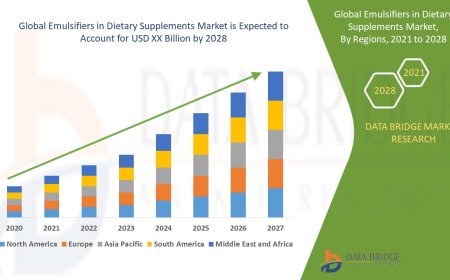 Emulsifiers in Dietary Supplements Market Competitive Forecast and Growth Analysis 2028