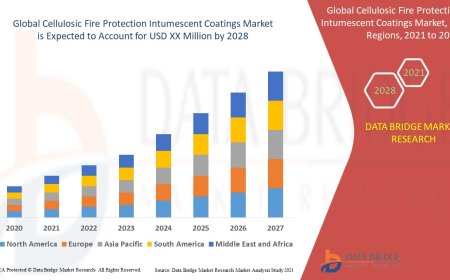 Cellulosic Fire Protection Intumescent Coatings Market Competitive Forecast and Growth Analysis 2028