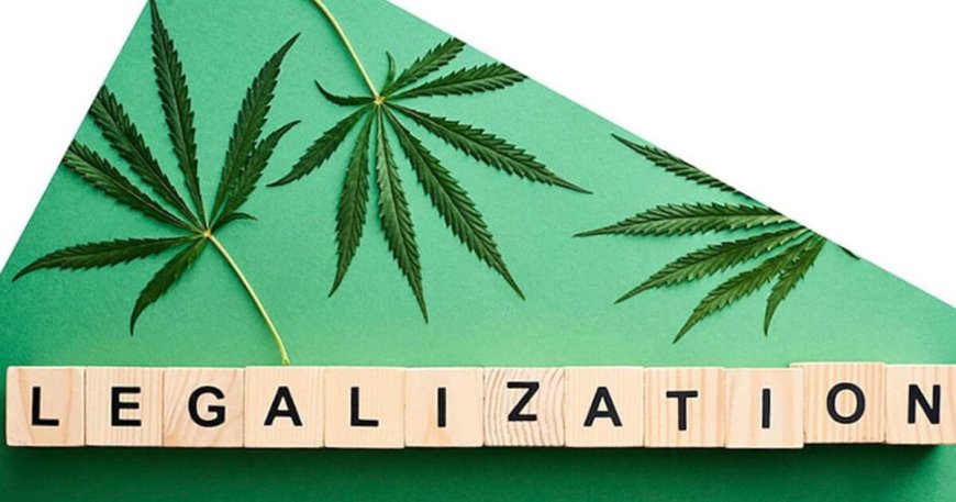 Marijuana Moment Cannabis Awareness & Legal Updates