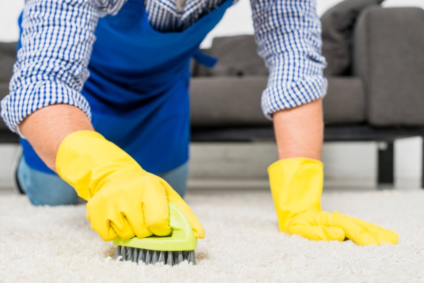 Your Go-To Carpet Cleaners in Nashville – Deep Steam Floor Care That Works