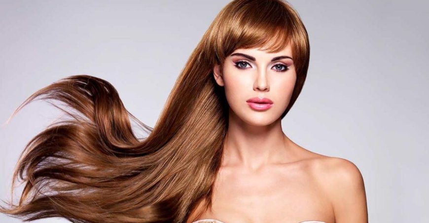 The Ultimate Guide to Human Hair Wigs: Everything You Need to Know