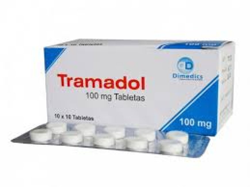Tramadol 100mg Guidance – Safe Use, Pet Doses & Warnings