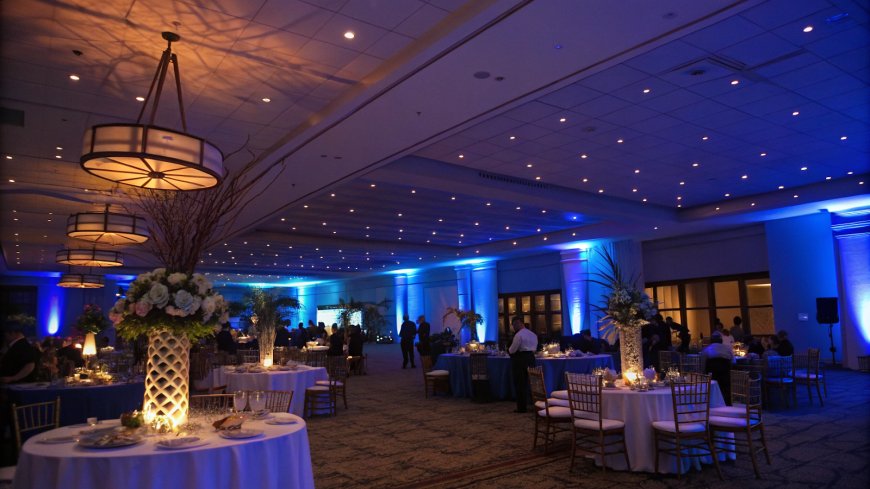 Mastering Ambience and Efficiency with Expert Lighting Design