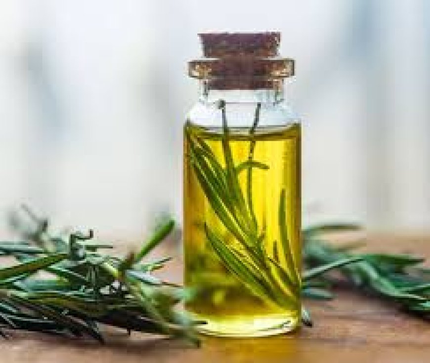 Reliable Rosemary Oil Suppliers in India for Pure Quality