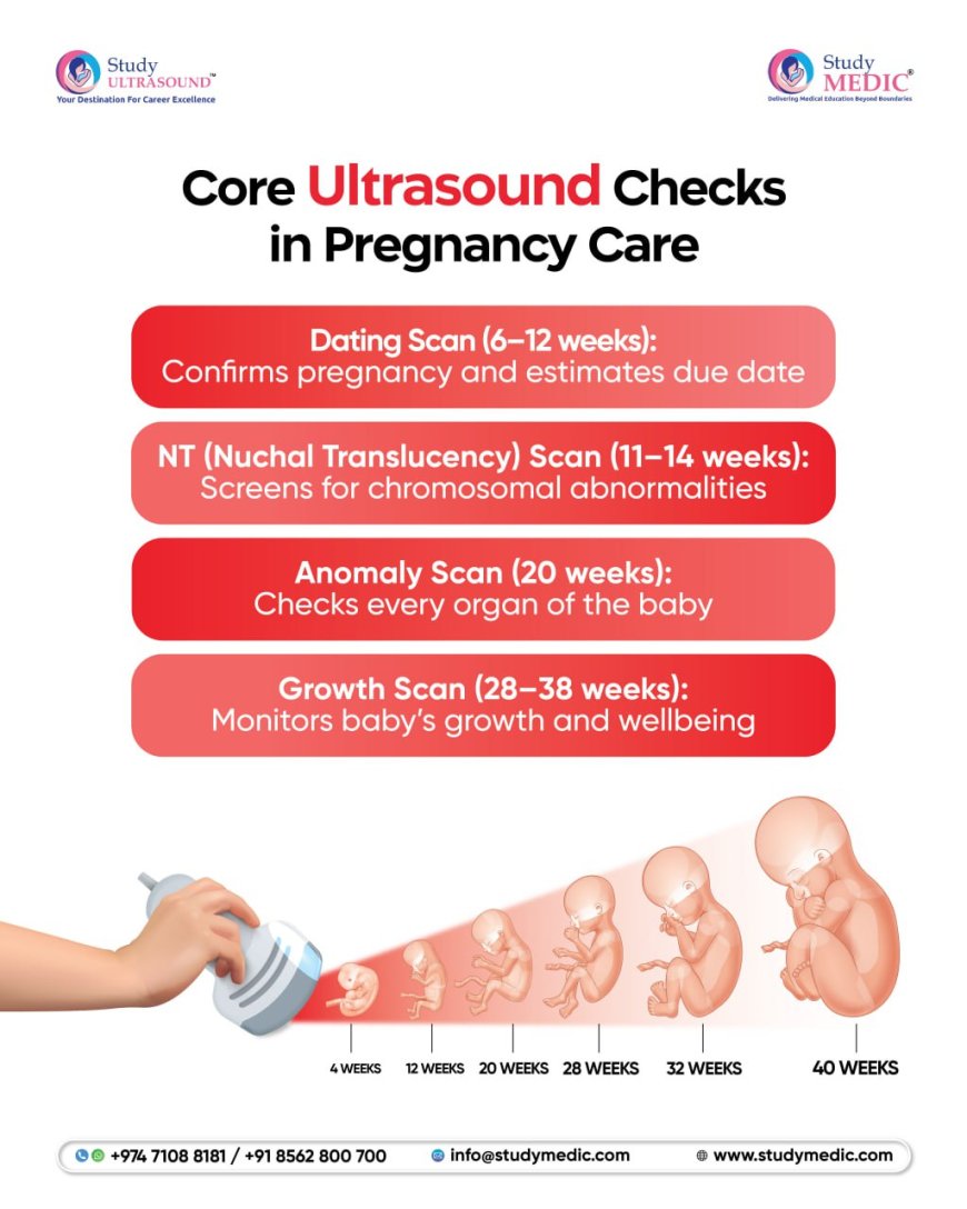 Best Ultrasound Course
