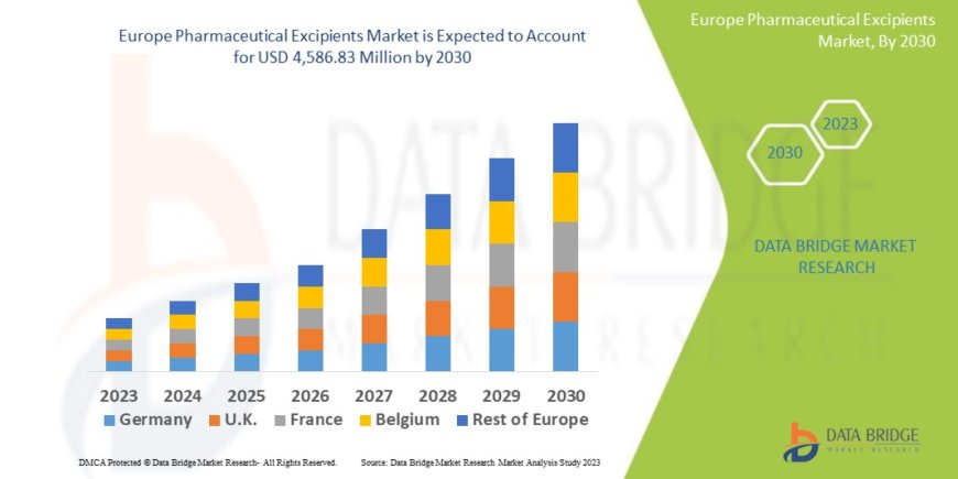 Europe Pharmaceutical Excipients Market Trends, Insights and Future Outlook