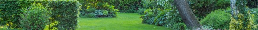 Quality Lawn Mowing Services in Malabar by Trusted Local Grass Cutting Professionals