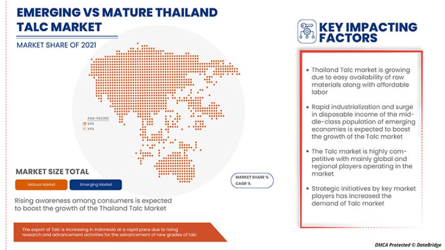 Thailand Talc Market Competitive Forecast and Growth Analysis 2029