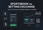 Sportsbook vs. Betting Exchange: How to Choose the Right Platform to Build?