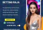 Behind Betting Raja’s security: encryption, KYC, and fraud prevention