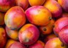 Juicing with California Keitt Mangos