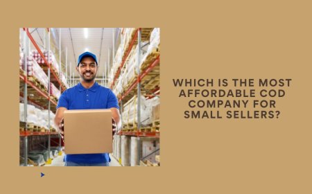 Which Is the Most Affordable COD Company for Small Sellers?