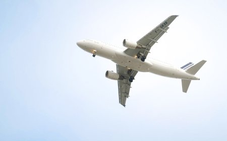 How Do I Talk to a Real Person on JetBlue or Southwest for Booking Help?