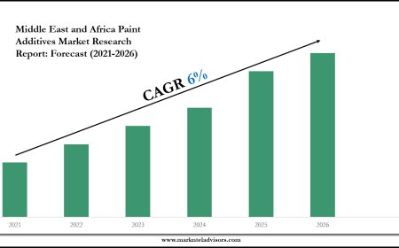 Middle East and Africa Paint Additives Industry Share, Size, and Competitive Landscape 2026