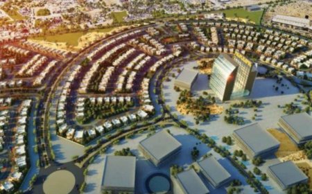 Rental Market Dynamics and Investment Potential of Apartments in Dubai Science Park (DSP) in 2025