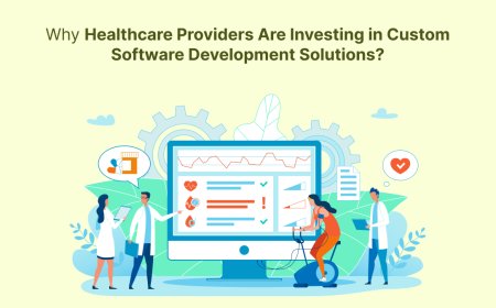 Why Healthcare Providers Are Investing in Custom Software Development Solutions?