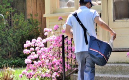 Every Door Direct Mail (EDDM): The Smartest Way to Reach Local Customers