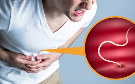 Best Care Practices for Treating Parasitic Infections