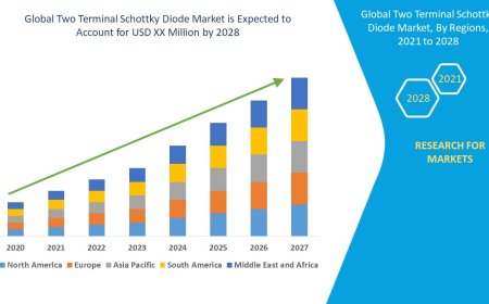 Two Terminal Schottky Diode Market Size, Status and Outlook 2028