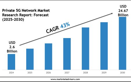 Comprehensive Private 5G Network Market Report 2025–2030 with Key Insights
