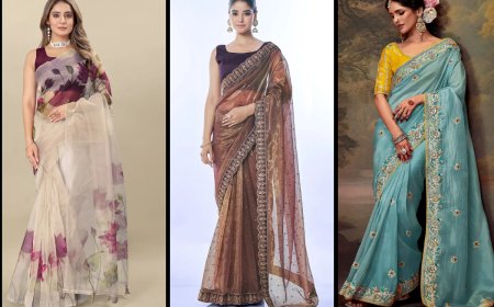 Sheer Elegance, Pure Drama: Organza Sarees to Flaunt Your Flair