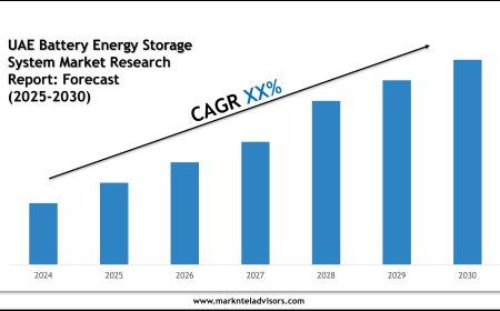 Comprehensive UAE Battery Energy Storage System Market Report 2025–2030 with Key Insights