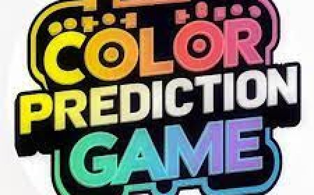 Play Colour Prediction Games and Win Big Every Day