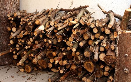 Ved och Björkved med Hemleverans i Storsthlm – Din Ultimata Guide för Vinterförberedelser