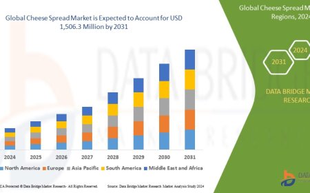 Cheese Spread Market Spreads Success with Rising Snacking Trends and Product Innovations