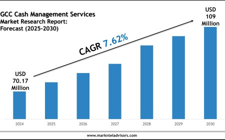 What Is the Market Size of GCC Cash Management Services Market? Forecast & Trends 2025–2030